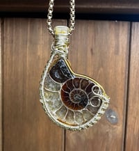 Image 1 of Ammonite (Gold)