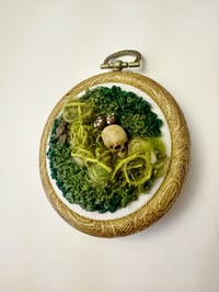 Image 1 of What the Forest Keeps