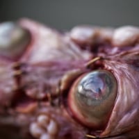 Image 10 of The Monstrous - collectible Clipper Lighter Sleeve