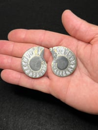 Image 13 of Pyrite Ammonite Fossil Pair #1268