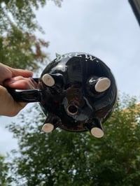 Image 3 of Lace Aloe in Witches Brew Cauldron  