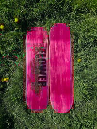 Image 2 of Rose Shrub Board Pink