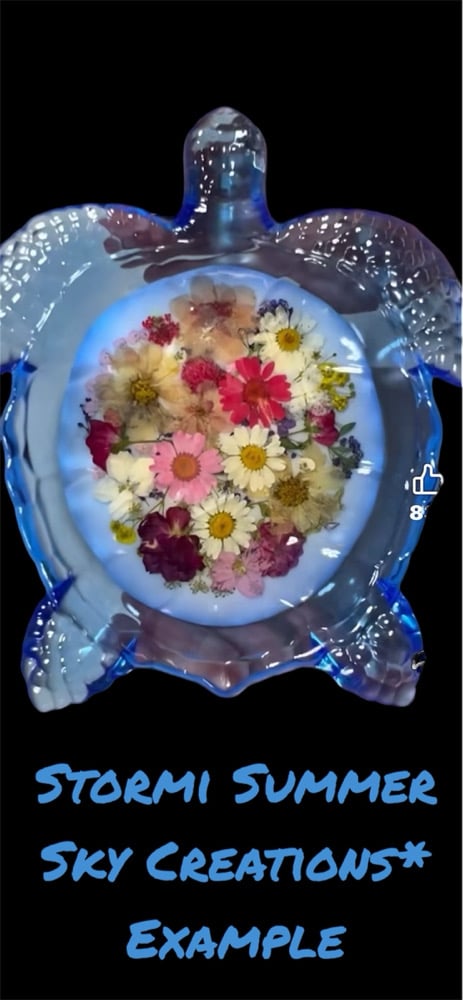 Image of Turtle Tray