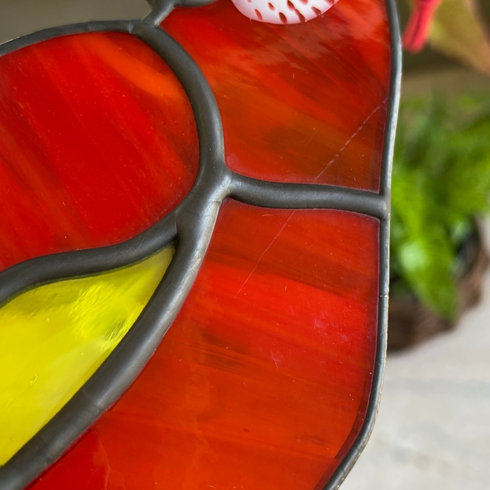 Image of Scarlet Macaw