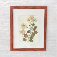 Image 2 of Genuine White Chrysanthemum Wildflower Art In 8" X 10" Frame (Item# 2022068)