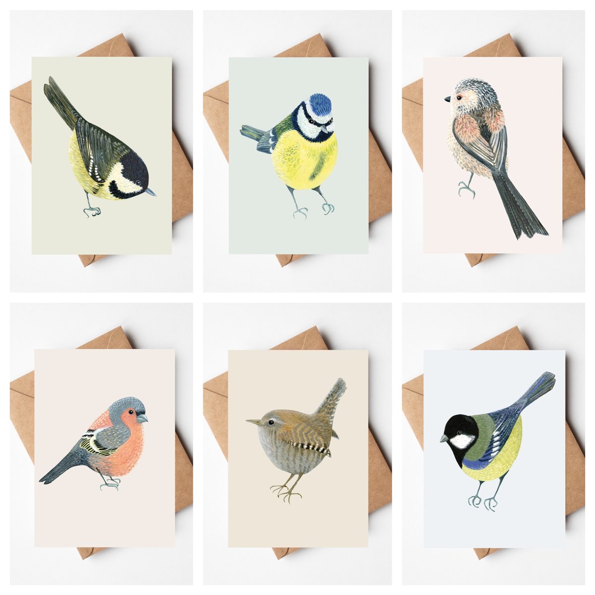 The Garden Birds Card Collection 