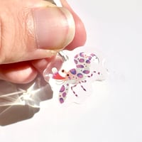 Image 1 of Miniature Harlequin Shrimp Charm