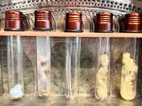 Image 4 of Falling through Me- Vinnie Sutherland