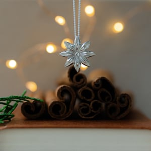 Image of Star Anise Pendant