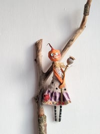 Image 1 of Pumpkin Poppy