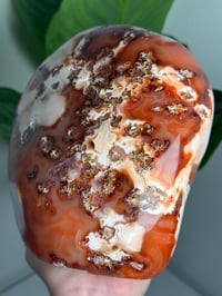 Image 5 of XXL MOSSY CARNELIAN FREEFORM -MADAGASCAR- 