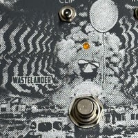 Image 4 of WASTELANDER