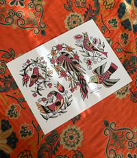 BIRDS