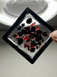 Image 5 of Harts Range Garnet Gemstones #2523