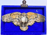 Image 4 of Lost & Found- Molly David