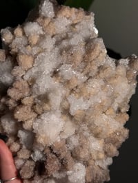 Image 2 of XL SUGARY DOG TOOTH CALCITE -MEXICO- A
