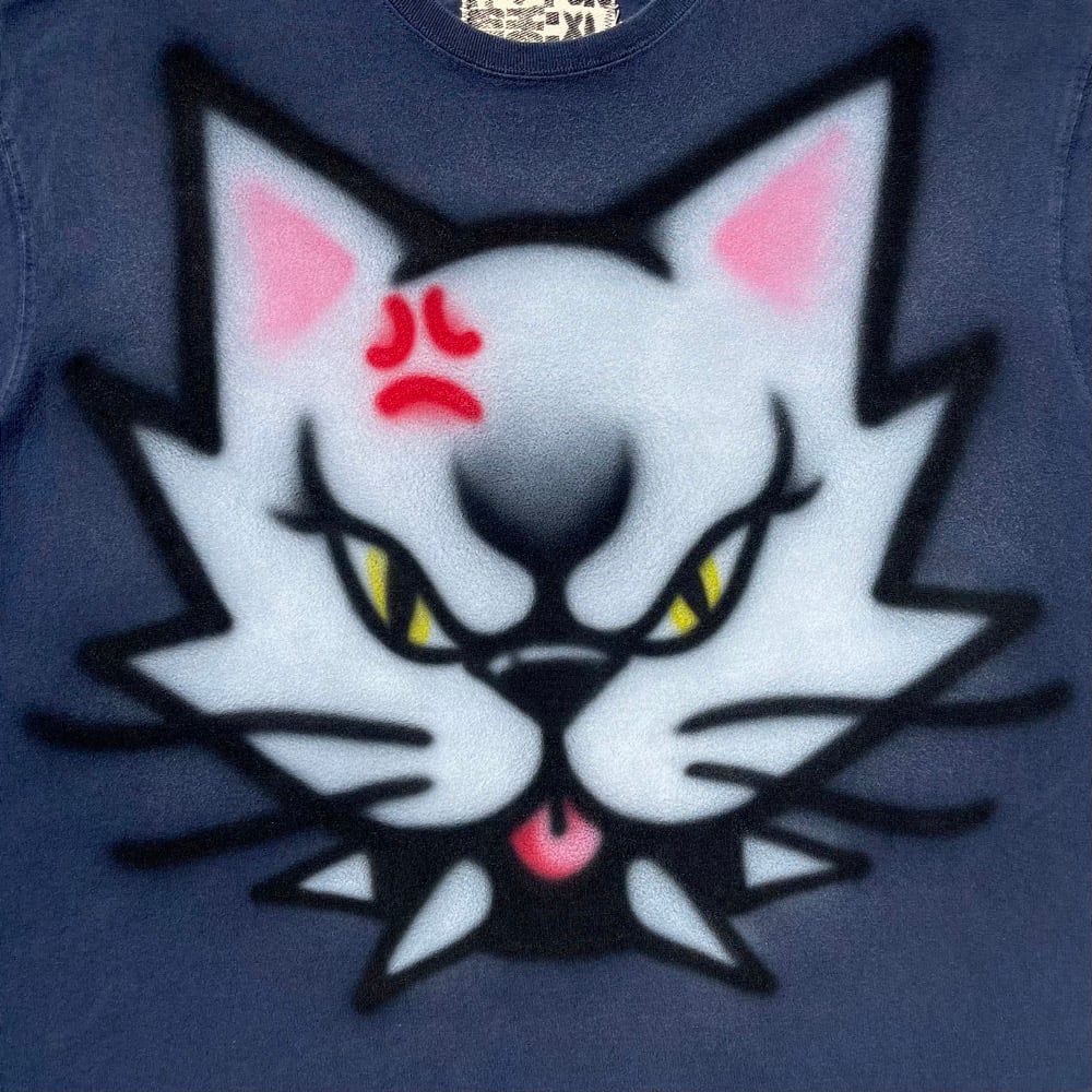 Image of CAT #26