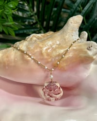 Image 2 of Scallop Shell Necklace N190