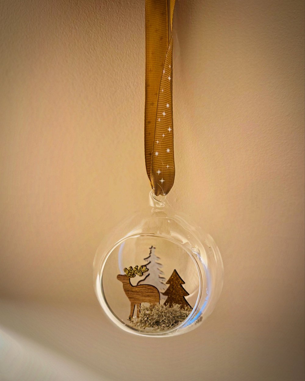Open Glass Dried Flower Bauble 