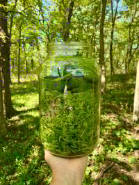 Image 2 of Green Healers’ Salve