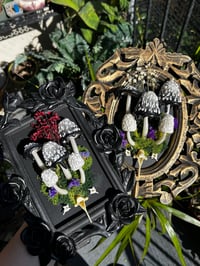 Image 4 of Inky cap frame led