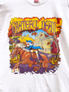 Grateful Dead 1993 Boston Garden T-Shirt - Size XL