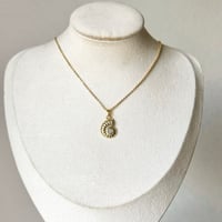 Image 2 of GOLD SHELL