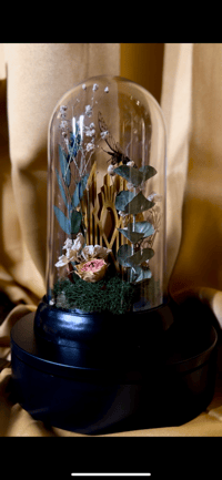 Image 3 of Sleep Cicada