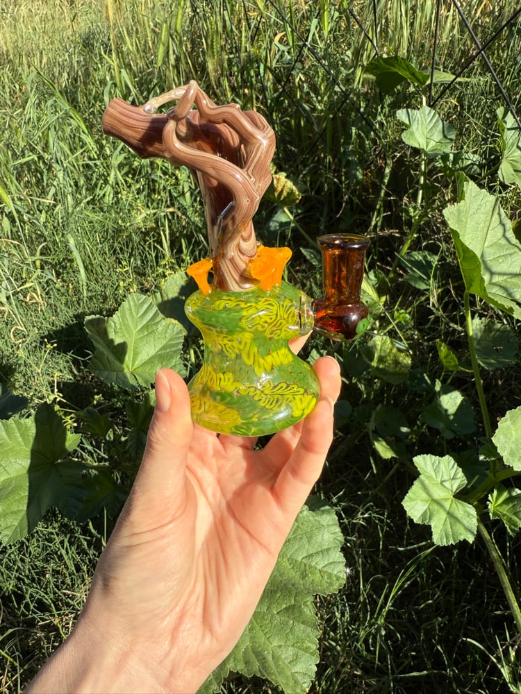 Image of Chanterelle Jammer