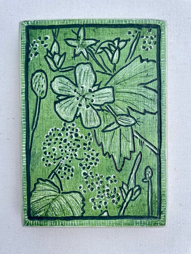 Geranium 