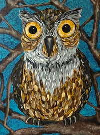 Image 2 of Night Owl
