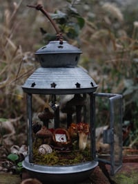 Image 3 of Love Letter Lantern Curio