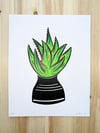 'Snappy Succulent' Print