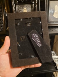 Image 3 of 1800’s biblical Ghost with preserved spider web - ornate black frame.