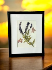 Image 1 of Genuine Veronica And Hydrangea Bloom Wildflower Art In 8" X 10" Frame (Item# 2021078)