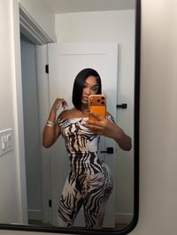 Image 2 of Zebra Set