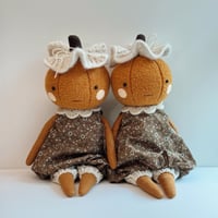 Image 3 of Cottage Pumpkin #03