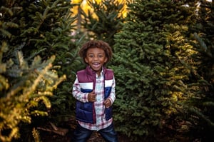 Image of Christmas Tree Sessions 