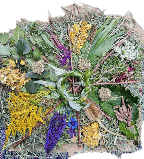 Image of Pizza forage box (in an actual 15 inch pizza box!!) (FAKEAWAY RANGE)