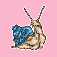 realistic snail sticker