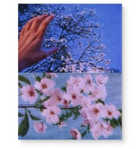 Image 1 of SPRING NIGHT IV