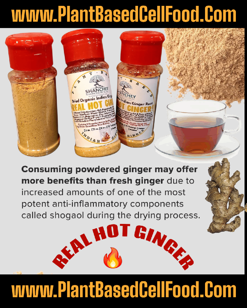 REAL HOT GINGER! Dried Indian Ginger Root-Circulation-Blood Thinner-Digestion-Headache-GERD/Reflux