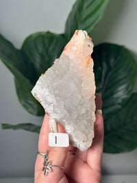 Image 9 of CHOOSE YOUR OWN SHIMMERY CHALCEDONY CLUSTERS -BULGARIA-
