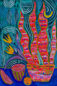 Image 1 of Watermelon, tulips  and Snake Plant