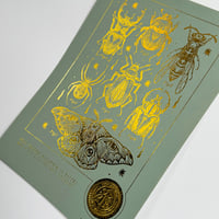 Image 1 of Foil dorure a chaud « insectes » numéroté 