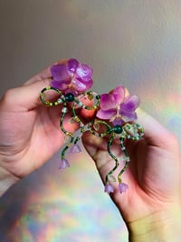 Image 4 of 💜🍃🌿Garden Bow Orchids💜🍃🌿