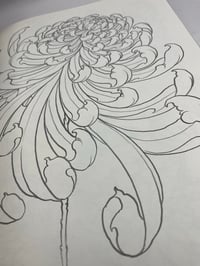 Image 3 of Japanese Flora Asia Edition