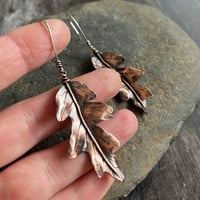 Image 4 of Autumn Leaf Earrings ~ Oak