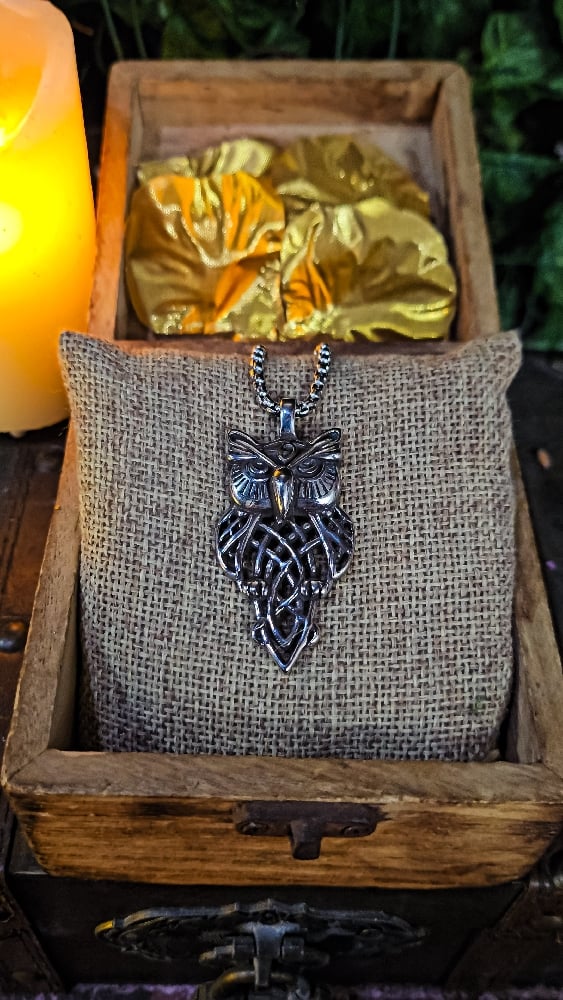 👑The Armored Kingdom Owl of the Realm Necklace 