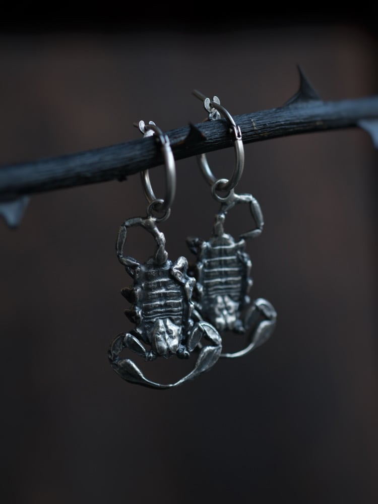 Image of ISHARA HOOPS